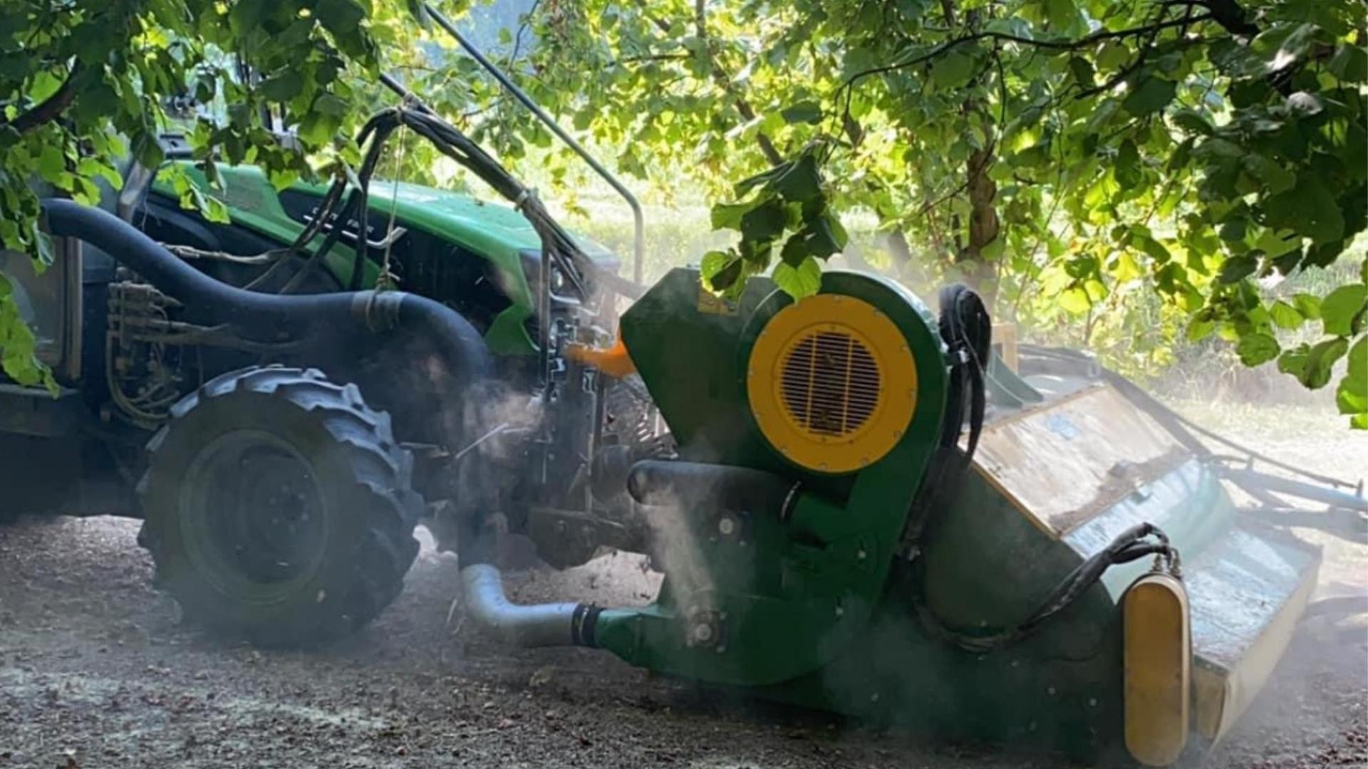 Clima impazzito, nocciole in anticipo: la siccità colpisce il made in Italy