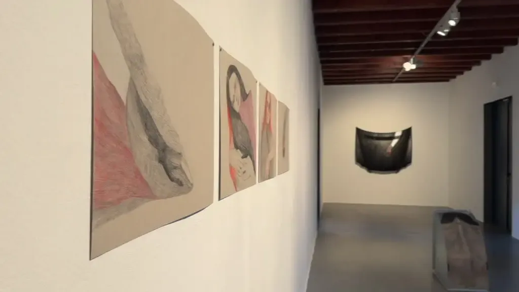 Arte o propaganda? La GAMeC piange con Selma Selman