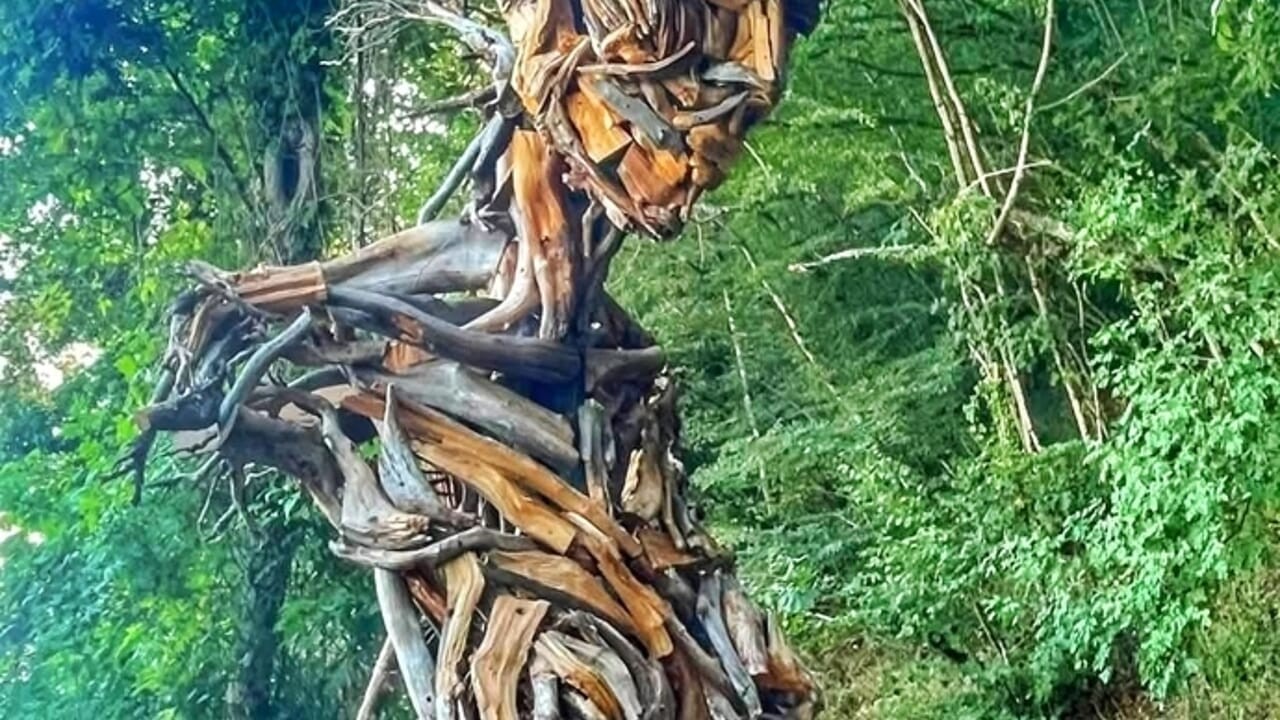 Arte nel bosco o fuga dalla realtà? I Castelli Romani diventano una galleria a cielo aperto